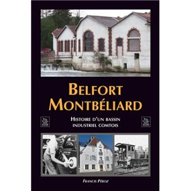 Belfort Montbéliard