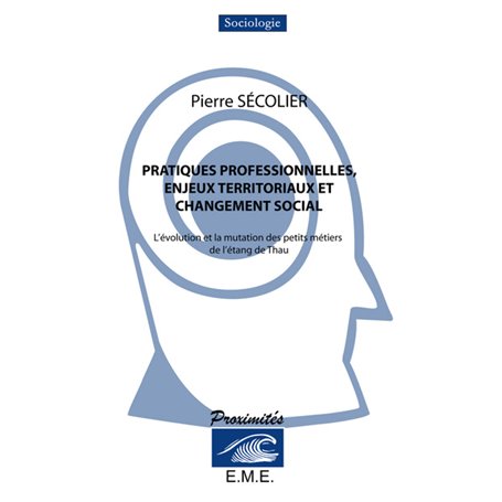 Pratiques professionnelles, enjeux territoriaux et changement social