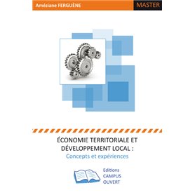 Economie territoriale et développement local :