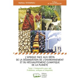 L'Afrique face aux défis de la dégradation de l'environnement et du réchauffement climatique de la planète