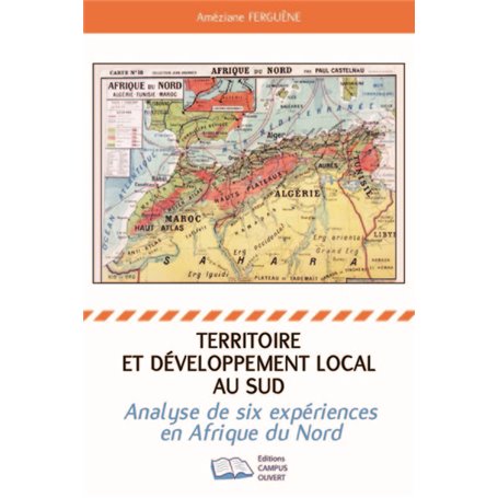 Territoire et développement local au Sud