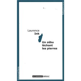 Un zébu léchant les pierres