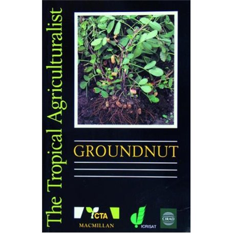 Groundnut