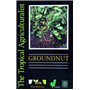 Groundnut