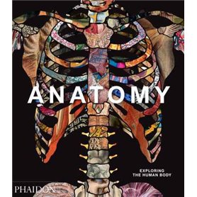 ANATOMY