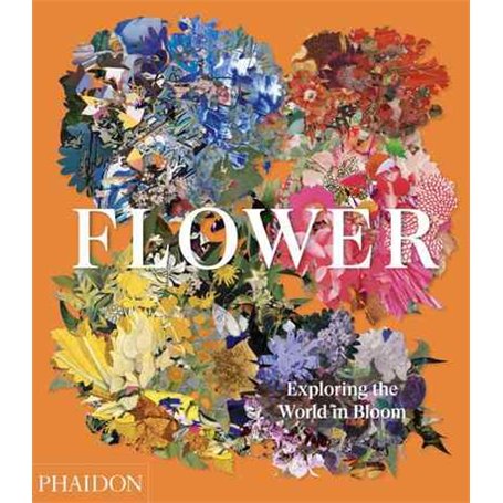 Flower: exploring the world in bloom