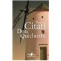 Don Quichotte