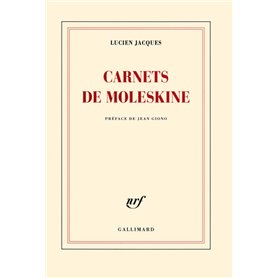 Carnets de moleskine