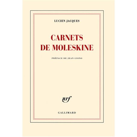 Carnets de moleskine