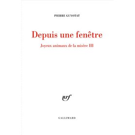 Depuis une fenêtre