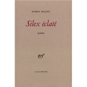 Silex éclaté
