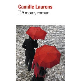 L'amour, roman