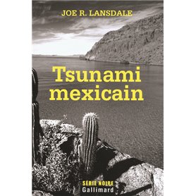 Tsunami mexicain