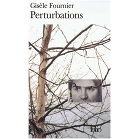 Perturbations