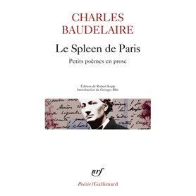 Le Spleen de Paris