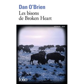 Les bisons de Broken Heart