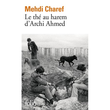 Le thé au harem d'Archi Ahmed