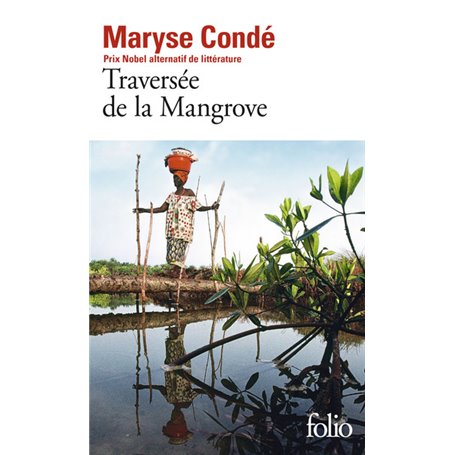 Traversée de la Mangrove