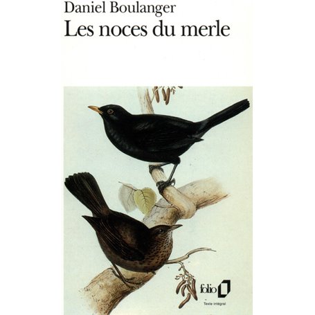 Les Noces du merle