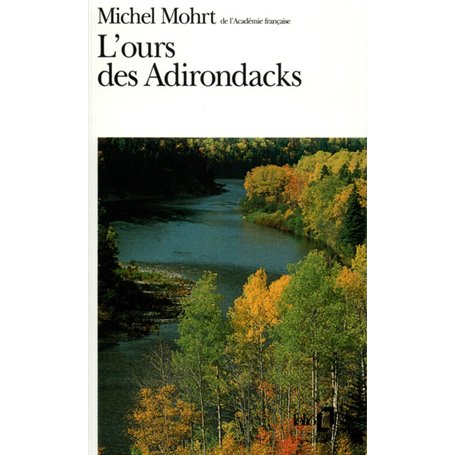 L'Ours des Adirondacks