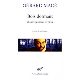 Bois dormant et autres poèmes en prose