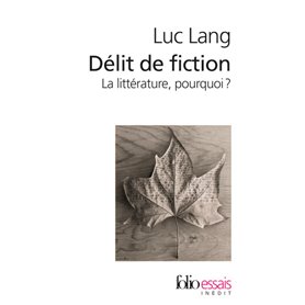 Délit de fiction