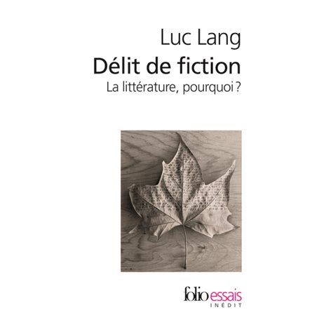 Délit de fiction