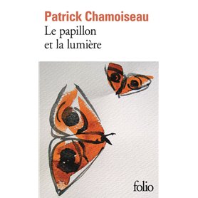 Le papillon et la lumière