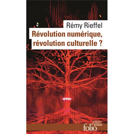 Révolution numérique, révolution culturelle ?