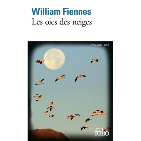 Les oies des neiges