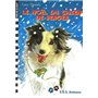 Le Noël du chien de berger