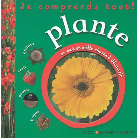 Plante