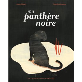 Ma panthère noire