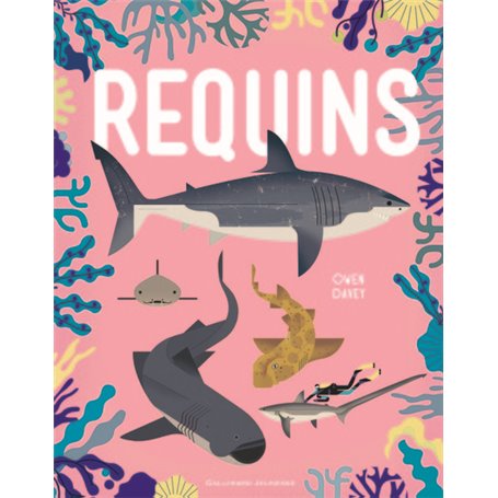 Requins