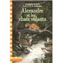 Alexandre et les chats volants