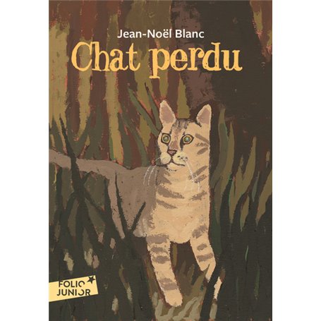 Chat perdu