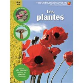Les plantes