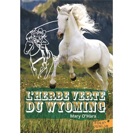 L'herbe verte du Wyoming