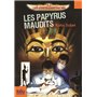 Les papyrus maudits