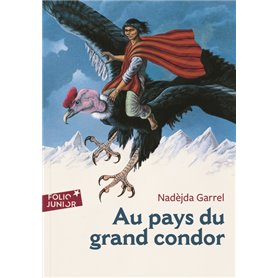 Au pays du grand condor