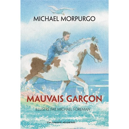 Mauvais garçon