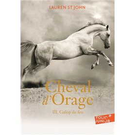 Cheval d'Orage