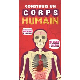 Construis un corps humain