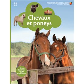 Chevaux et poneys