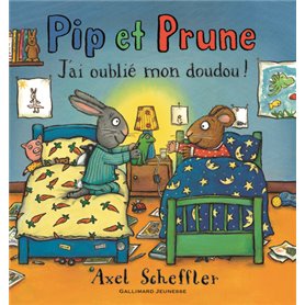 Pip et Prune : J'ai oublié mon doudou !