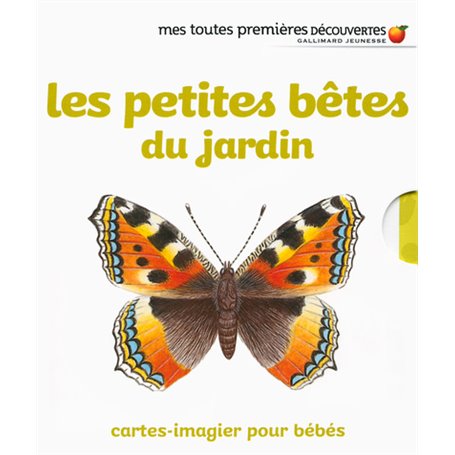 Les petites bêtes du jardin