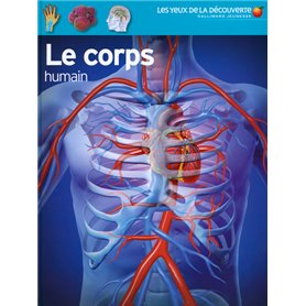 Le corps humain