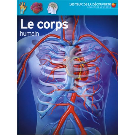 Le corps humain