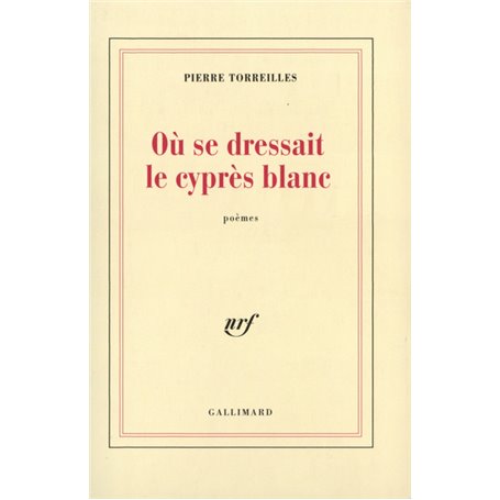 Où se dressait le cyprès blanc