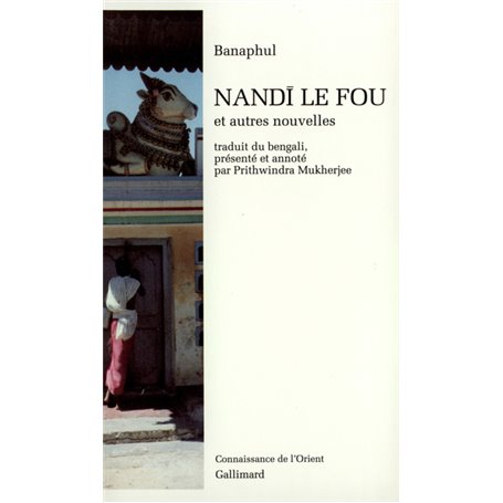 Nand le Fou et autres nouvelles